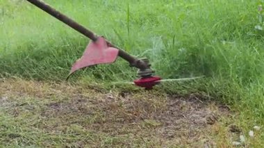 Düzenli bir manzara yaratmak için gün ışığında çim biçen kişi.