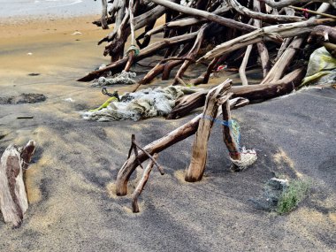 Sahilde bulunan dal ve dallardan oluşan büyük bir yığın..