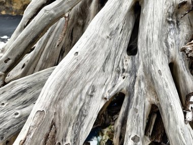 Sahilde bulunan dal ve dallardan oluşan büyük bir yığın..