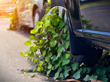 A black car that has a broken tire and is covered with leaves. clipart