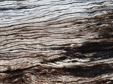 Tahtanın karmaşık dokusunu vurgulayan bir tahta parçasına yakın plan..