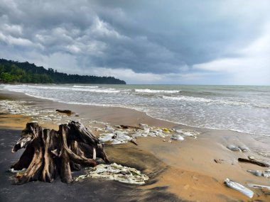 Çöpler sahile saçılmış, okyanusa yakın..