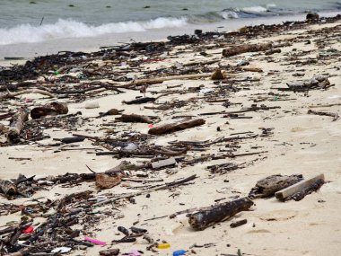 Ahşap, plastik ve çeşitli atıklarla dolu bir plaj önemli çevresel sorunları vurguluyor