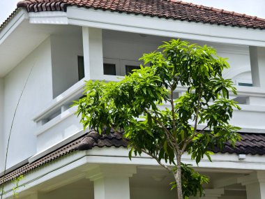 Tayland 'daki şehir binalarının pencere, kapı ve balkonlarının detaylı görüntüsü