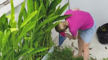 Genç bir kadın güzel bahçesini süslüyor canlı yeşilliğini ve açık hava aktivitelerine olan aşkını sergiliyor.