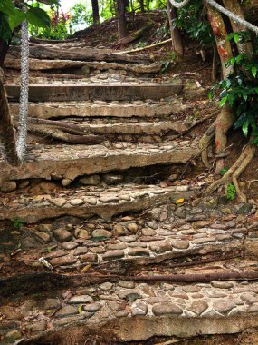 Taştan adımlar ve doğal çevreyle bezenmiş yemyeşil bir yolda dolan pitoresk bir patika..