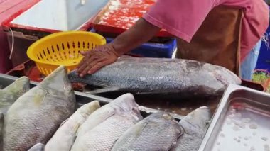 Usta bir aşçı dışarıda Tayland mutfağını tutkuyla pişiriyor.. 