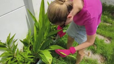 Genç bir kadın güzel bahçesini süslüyor canlı yeşilliğini ve açık hava aktivitelerine olan aşkını sergiliyor.