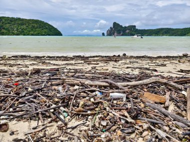 Ahşap, plastik ve çeşitli atıklarla dolu bir plaj önemli çevresel sorunları vurguluyor
