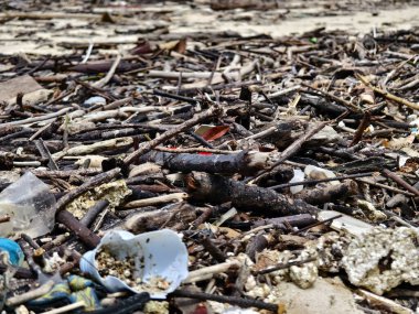 Ahşap, plastik ve çeşitli atıklarla dolu bir plaj önemli çevresel sorunları vurguluyor
