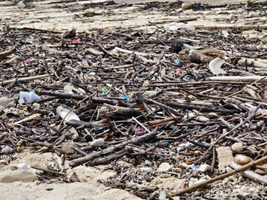 Ahşap, plastik ve çeşitli atıklarla dolu bir plaj önemli çevresel sorunları vurguluyor