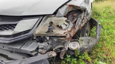 Yoğun büyüyen bir ortamda terk edilmiş arabalar..