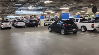 Düzenli olarak dizilmiş çeşitli arabaların sergilendiği modern bir otopark.