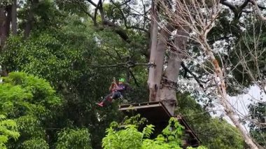 Bir adam yemyeşil bir orman gölgesinde uçarken heyecan verici bir halat macerası yaşar..