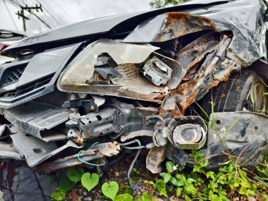 Yoğun büyüyen bir ortamda terk edilmiş arabalar..