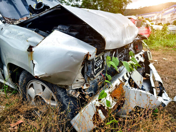 Брошенные машины после аварий в густом заросшем месте.