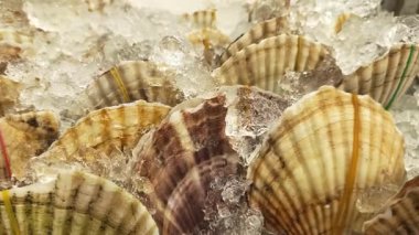 Asya pazarında çeşitli deniz ürünleri satılır..