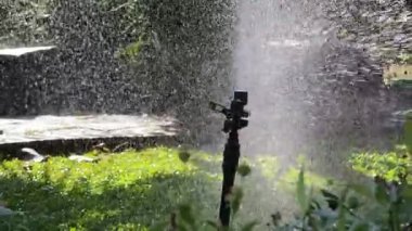 Sarı ve siyah otomatik fıskiye suları yemyeşil bir çimenlik.