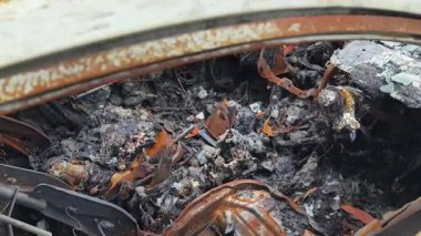 Yıkıcı bir yangından sonra yanan bir aracın iç kısmının kalıntıları..