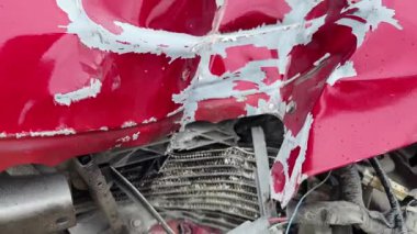 Yoğun büyüyen bir ortamda terk edilmiş arabalar..