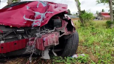 Yoğun büyüyen bir ortamda terk edilmiş arabalar..