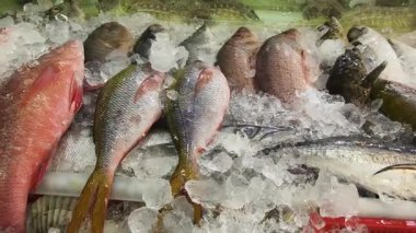 Asya pazarında çeşitli deniz ürünleri satılır..