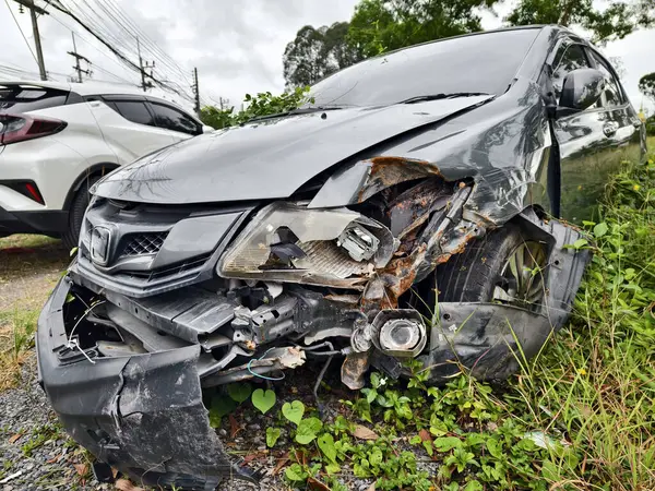 Yoğun büyüyen bir ortamda terk edilmiş arabalar..