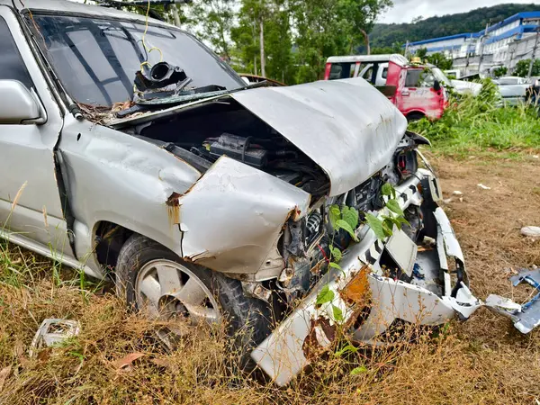 Yoğun büyüyen bir ortamda terk edilmiş arabalar..
