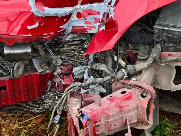 Yoğun büyüyen bir ortamda terk edilmiş arabalar..