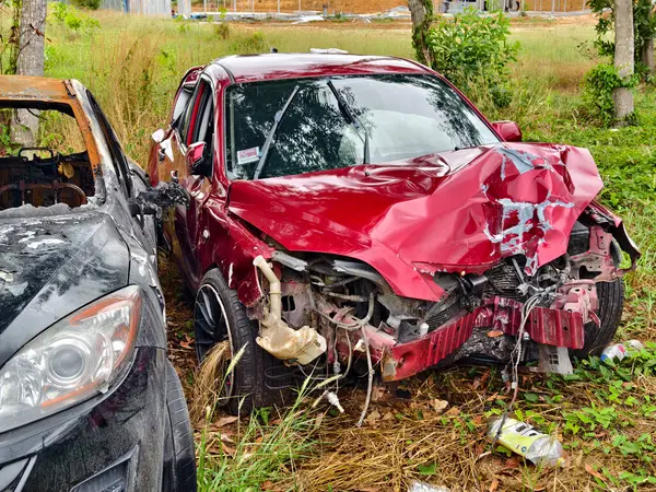 Yoğun büyüyen bir ortamda terk edilmiş arabalar..