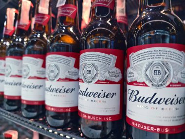 PHUKET, THAILAND - 8 Mart 2025: Budweiser biraları düzgünce bir rafa dizildi.