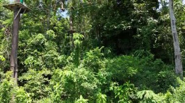 Bir adam uç parkta zorlu bir pistte yürüyor..