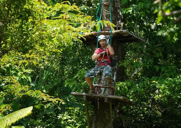 İnsanoğlu, etrafını saran kalın ormandan geçen bir ip üzerinde keyifli bir yolculuğun tadını çıkarıyor..