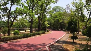 Bir adam ve bir kadın güzel bir parkta birlikte koşuyorlar, temiz havanın tadını çıkarıyorlar.