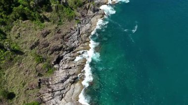 Göz kamaştırıcı bir hava manzarası, yemyeşil ağaçlar ve okyanuslarla çevrili pitoresk bir plajı sergiliyor..