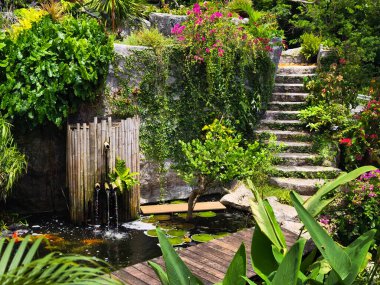 Güzel bir şelale ve zarifçe yüzen balıklarla dolu sakin bir gölet..