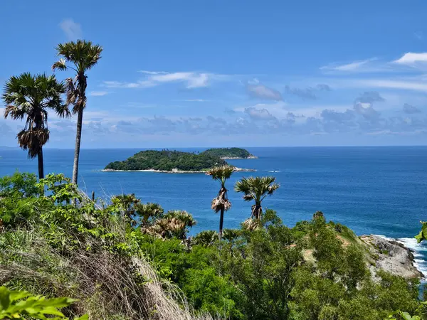 Uçsuz bucaksız okyanusun ortasında, mavi sularla çevrili küçük bir ada..