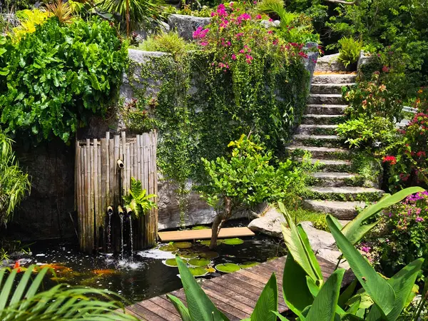 Güzel bir şelale ve zarifçe yüzen balıklarla dolu sakin bir gölet..