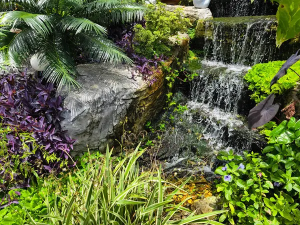 Güzel bir şelale ve zarifçe yüzen balıklarla dolu sakin bir gölet..