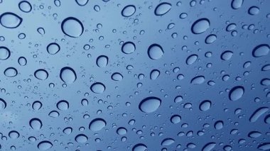 Su damlaları, güzelliklerini ve detaylarını gösteren pürüzsüz bir yüzeyde dinleniyor..