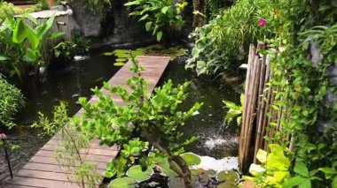 Güzel bir şelale ve zarifçe yüzen balıklarla dolu sakin bir gölet..