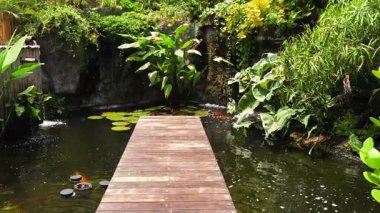 Güzel bir şelale ve zarifçe yüzen balıklarla dolu sakin bir gölet..