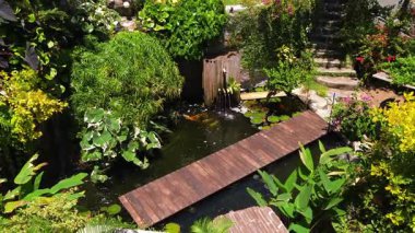 Güzel bir şelale ve zarifçe yüzen balıklarla dolu sakin bir gölet..