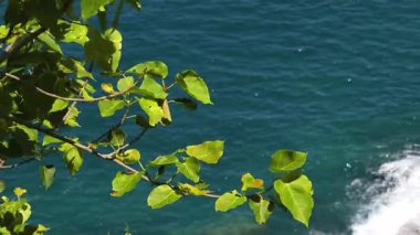 Uçsuz bucaksız okyanusun ortasında, mavi sularla çevrili küçük bir ada..
