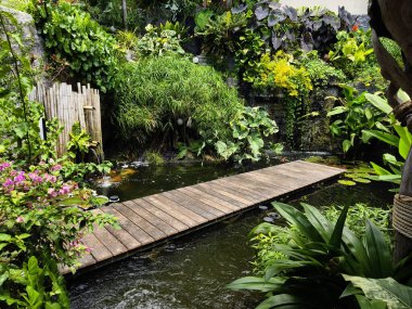 Büyüleyici bir ahşap köprü, sakin bir bahçede sakin bir gölet boyunca uzanır..