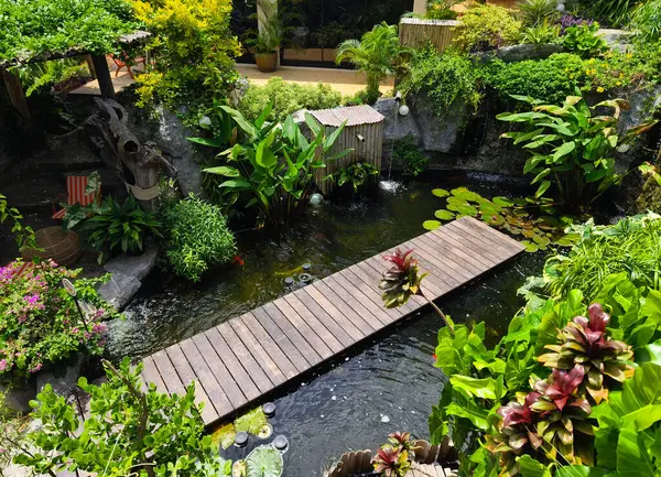 Güzel bir şelale ve zarifçe yüzen balıklarla dolu sakin bir gölet..