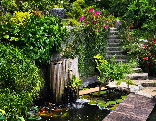 Güzel bir şelale ve zarifçe yüzen balıklarla dolu sakin bir gölet..