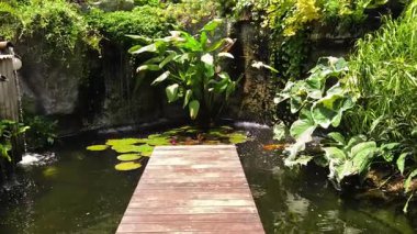 Güzel bir şelale ve zarifçe yüzen balıklarla dolu sakin bir gölet..