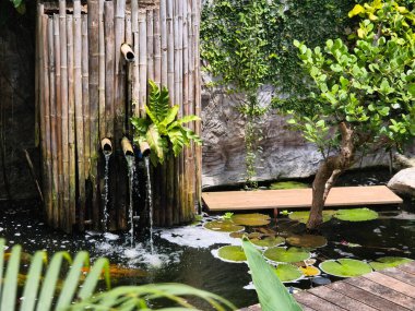 Güzel bir şelale ve zarifçe yüzen balıklarla dolu sakin bir gölet..