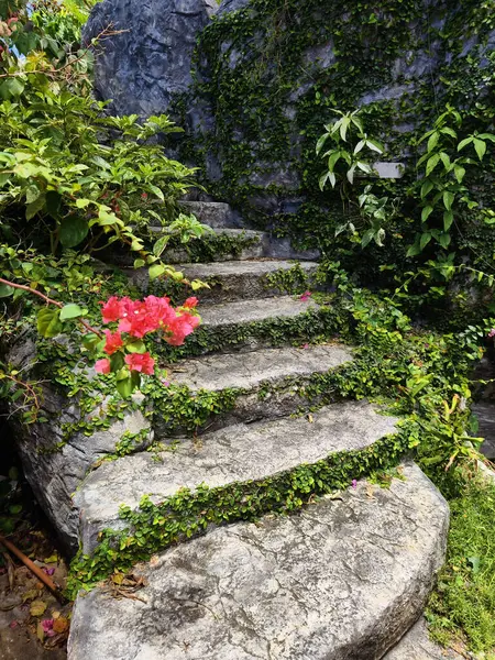 Canlı bitkiler ve çiçekler dizisi tarafından güzel tasarlanmış bir bahçede taş merdiven..